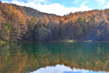 Fototapeta premium 錦秋の御射鹿池 水鏡に映る紅葉