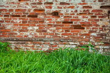 Green grass contrasts rough facade of the old red brick wall with weathered texture