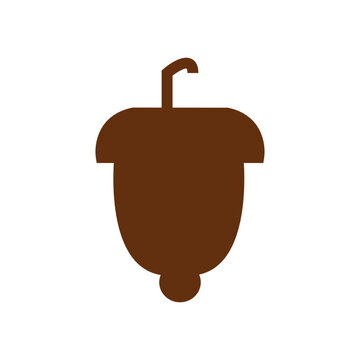 acorn fruit vectori llustration