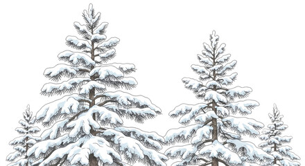 Obraz premium Winter trees covered in snow standing majestically in a serene snowy landscape isolated on transparent bg, cutout png