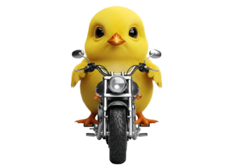 A cute, yellow, fluffy chick, cartoon-style, riding a small motorcycle directly facing the camera with a serious expression. isolated on transparent background