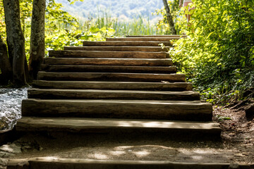 Stair Pathway Upward in Forest