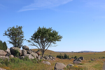En pleine campagne de la Lozère