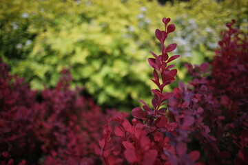 Obraz premium Instant Nostalgia Under the Sky