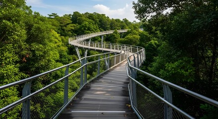 Obraz premium Elevated wooden walkway curves through lush green forest canopy under a bright blue sky.