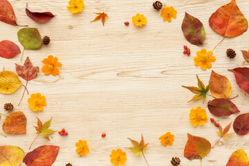 落ち葉とキバナコスモスのフレーム