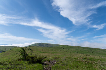 爽やかな朝の高原　霧ヶ峰	