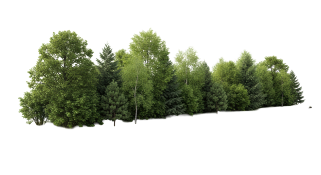 Ultra realistic uhd photo of a long, isolated strip of lush green deciduous and coniferous trees with dense shrubs on brown earth, presented as a cut-out object on a stark white background with copy