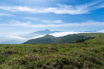 爽やかな朝の高原　霧ヶ峰	