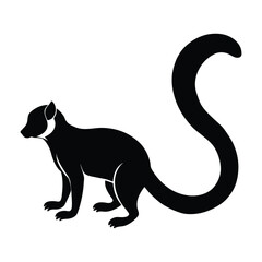 Black silhouette of a lemur with a long curved tail on white background animal