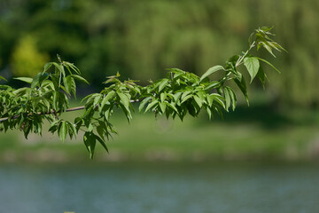 Summer Stories, One Click at a Time