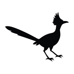 Black silhouette of a roadrunner bird in profile on white background black and white