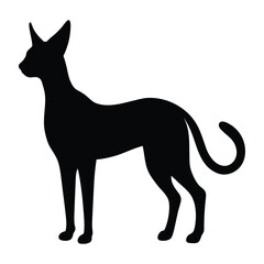 Black silhouette of a slender cat with large ears standing white background animal