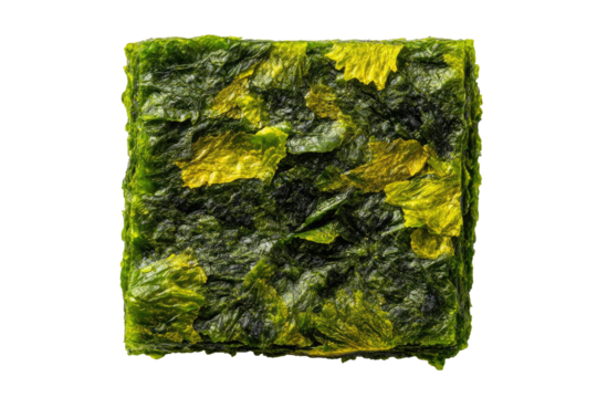 Square, textured, dark-green food block with yellow flecks