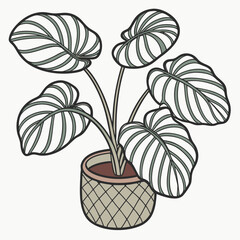 Obraz premium Stylized alocasia plant in a decorative pot isolated on white background