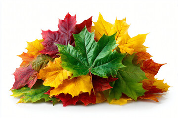 Colorful mixed autumn leaves in vibrant tones