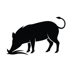 Black silhouette of a wild boar with tusks and curly tail foraging on white background animal