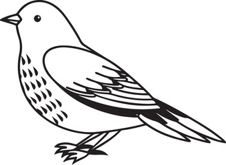 Fototapeta premium A simple black and white line drawing of a small bird with detailed feathers and a gentle expression perfect for educational or artistic purposes