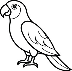Fototapeta premium Parrot isolated on white background, a simple line drawing for coloring book