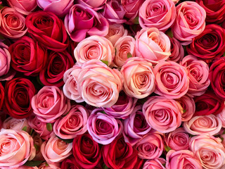 Bouquet of pink and red roses for Valentine's Day. Wallpaper for screensaver.