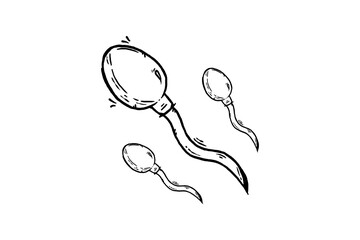Hand drawn sperm cells vector icon illustration