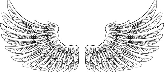 Obraz premium A pair of angel, eagle or pegasus feather wings illustration in an etched or engraving woodcut style