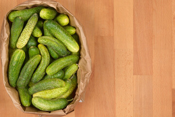 An overhead view of a paper bag filled with freshly harvested pickling cucumbers resting on a wooden surface with ample cocopy space