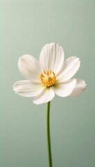 Generative AI A serene close-up of a white flower with a bright yellow center against a soft green