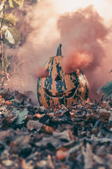 Creative jack-o'-lantern surrounded by autumn leaves with colorful smoke