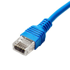 Close-up of a blue network cable connector (1)