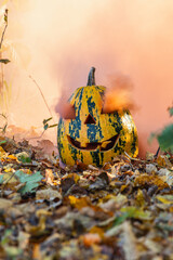 Fototapeta premium Halloween pumpkin with smoke effect in autumn leaves at sunset