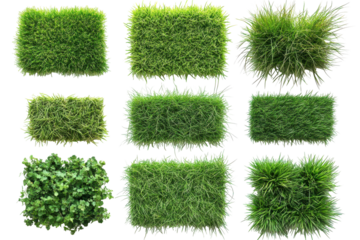 Patches of green grass isolated on transparent background. Set of top view lush green grass patches showcasing diverse textures and shades isolated on white background.