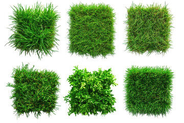 Patches of green grass isolated on transparent background. Set of top view lush green grass patches showcasing diverse textures and shades isolated on white background.