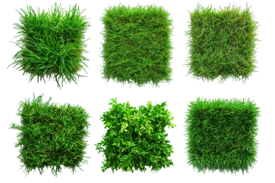 Patches of green grass isolated on transparent background. Set of top view lush green grass patches showcasing diverse textures and shades isolated on white background.