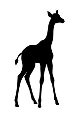 Baby Giraffe Silhouette