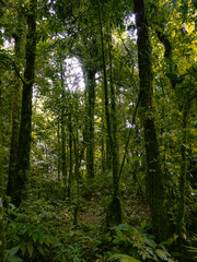 Deep of Meratus Mountain in Borneo Rainforest, Tanah Bumbu, Indonesia