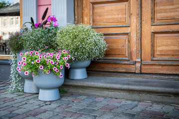 Colorful Flower Pots in Front of Vintage Wooden Door