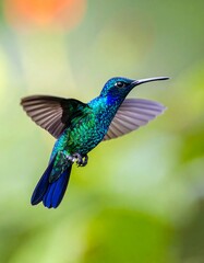 Obraz premium Vibrant hummingbird in flight, iridescent plumage against a blurred green background