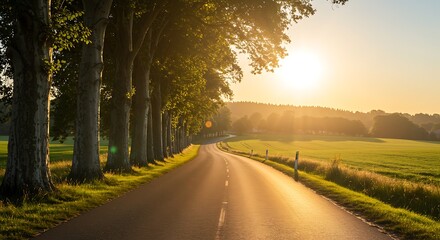 Obraz premium Road Between Trees at Sunrise