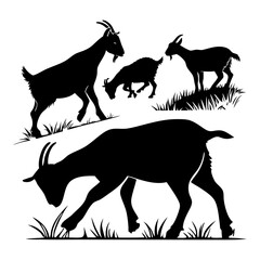 Silhouettes of Grazing American Pygmy Goats in Natural Outdoor Setting on Grassland