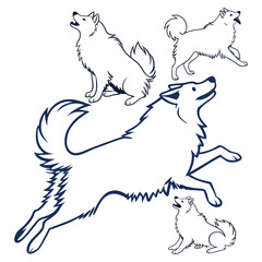 Stylized Illustration of Playful American Eskimo Dogs in Varied Poses and Movements
