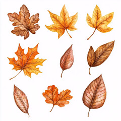 Watercolor set of autumn leaves in warm brown, orange, and yellow tones with various leaf shapes on white background
