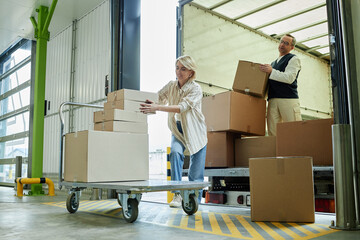 Caucasian middle aged woman pushing cart loaded with cardboard boxes while man standing in truck unloading packages at warehouse loading dock
