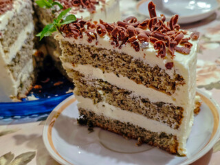 Slice of layered cake with chocolate shavings and mint