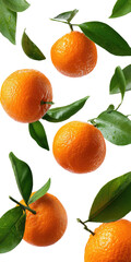 Fresh mandarins with leaves