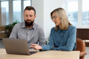 Fototapeta premium Business partners working with laptop at table in office