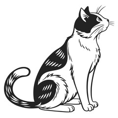 black and white cat art