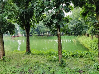 Beautiful landscape featuring a tranquil lake surrounded by verdant greenery and tall trees. Reflects the calming ambiance of nature and tranquility, providing a sense of peace and relaxation.