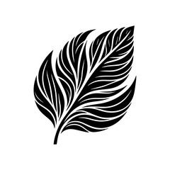 Obraz premium Stylized Black Feather Silhouette Design.