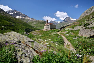 Fototapete bei efototapeten.de bestellen   